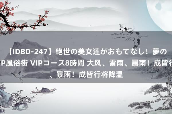 【IDBD-247】絶世の美女達がおもてなし！夢の桃源郷 IP風俗街 VIPコース8時間 大风、雷雨、暴雨！成皆行将降温