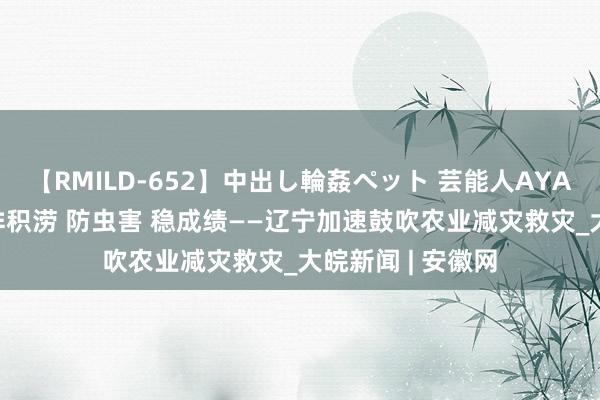 【RMILD-652】中出し輪姦ペット 芸能人AYA 聚焦防汛抗洪|排积涝 防虫害 稳成绩——辽宁加速鼓吹农业减灾救灾_大皖新闻 | 安徽网