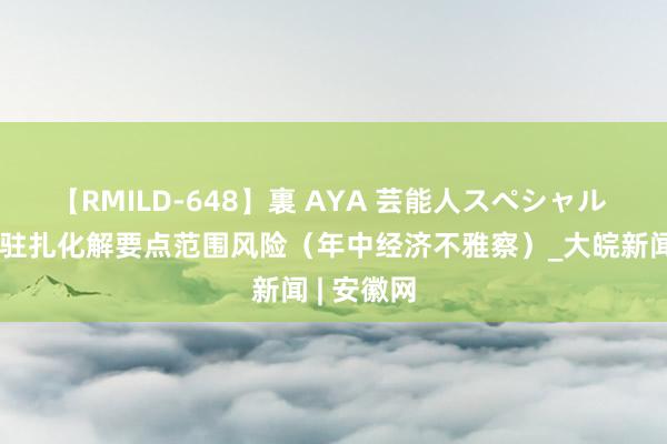 【RMILD-648】裏 AYA 芸能人スペシャル 持续有用驻扎化解要点范围风险（年中经济不雅察）_大皖新闻 | 安徽网