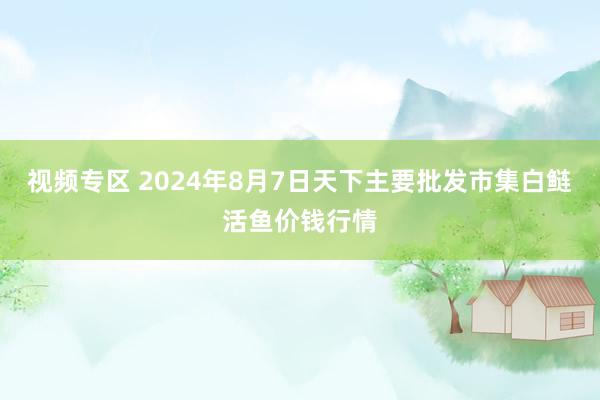 视频专区 2024年8月7日天下主要批发市集白鲢活鱼价钱行情