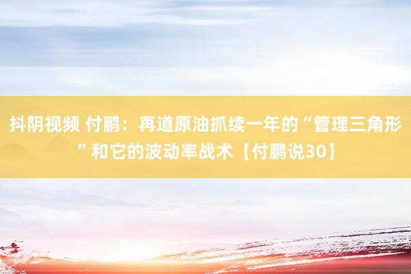 抖阴视频 付鹏：再道原油抓续一年的“管理三角形”和它的波动率战术【付鹏说30】