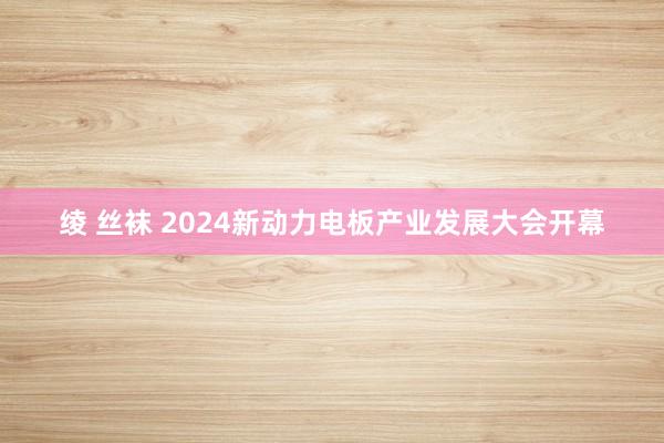 绫 丝袜 2024新动力电板产业发展大会开幕