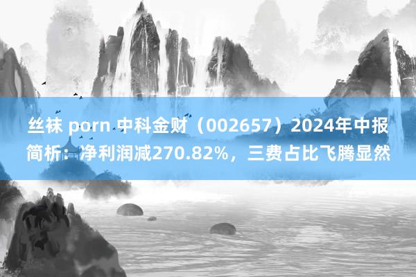 丝袜 porn 中科金财（002657）2024年中报简析：净利润减270.82%，三费占比飞腾显然