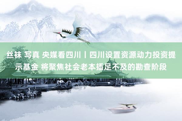 丝袜 写真 央媒看四川丨四川设置资源动力投资提示基金 将聚焦社会老本插足不及的勘查阶段