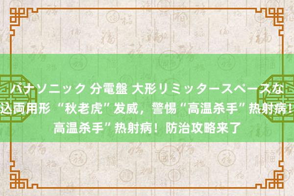 パナソニック 分電盤 大形リミッタースペースなし 露出・半埋込両用形 “秋老虎”发威，警惕“高温杀手”热射病！防治攻略来了