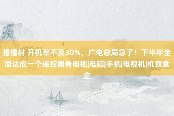 撸撸射 开机率不及30%，广电总局急了！下半年全面达成一个遥控器看电视|电脑|手机|电视机|机顶盒