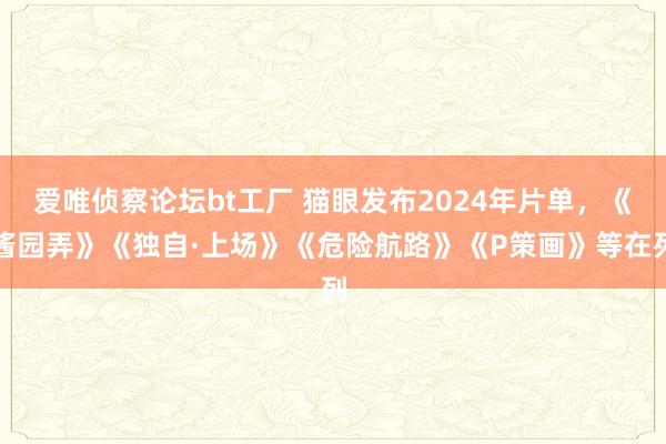 爱唯侦察论坛bt工厂 猫眼发布2024年片单，《酱园弄》《独自·上场》《危险航路》《P策画》等在列