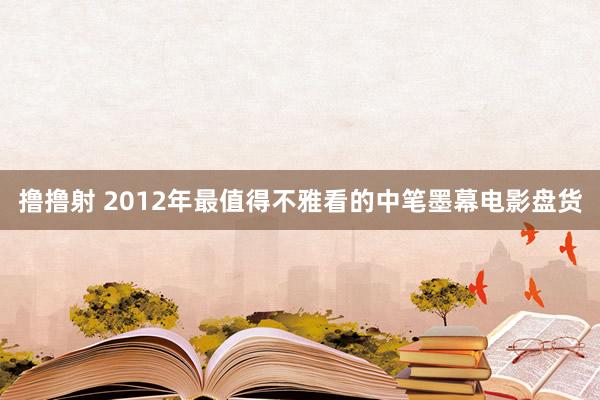 撸撸射 2012年最值得不雅看的中笔墨幕电影盘货