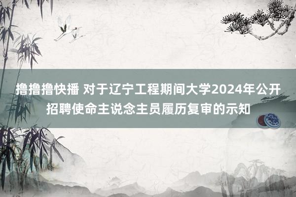 撸撸撸快播 对于辽宁工程期间大学2024年公开招聘使命主说念主员履历复审的示知