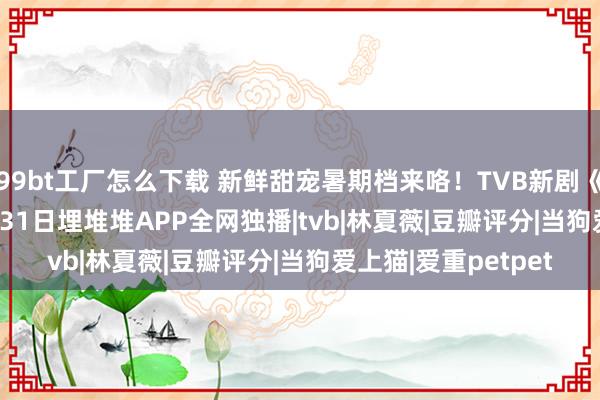 99bt工厂怎么下载 新鲜甜宠暑期档来咯！TVB新剧《爱重pet pet》7月31日埋堆堆APP全网独播|tvb|林夏薇|豆瓣评分|当狗爱上猫|爱重petpet